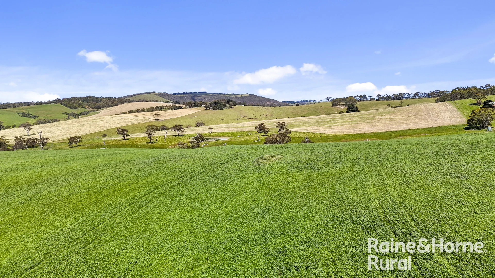 Additional image 15 of 25 Nosworthy Road, Inman Valley SA 5211