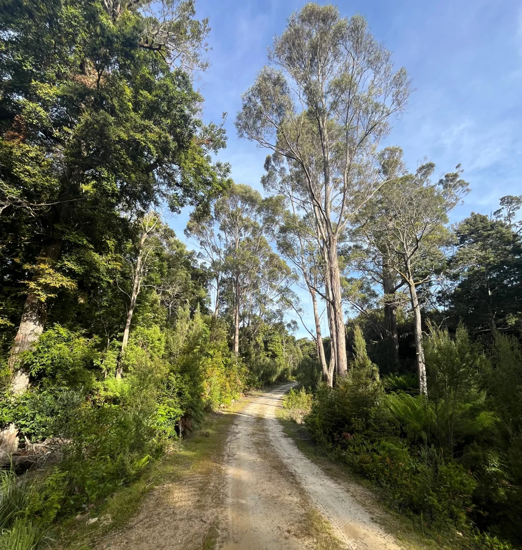 Additional image 10 of . Wilsons Road, Granville Harbour TAS 7469