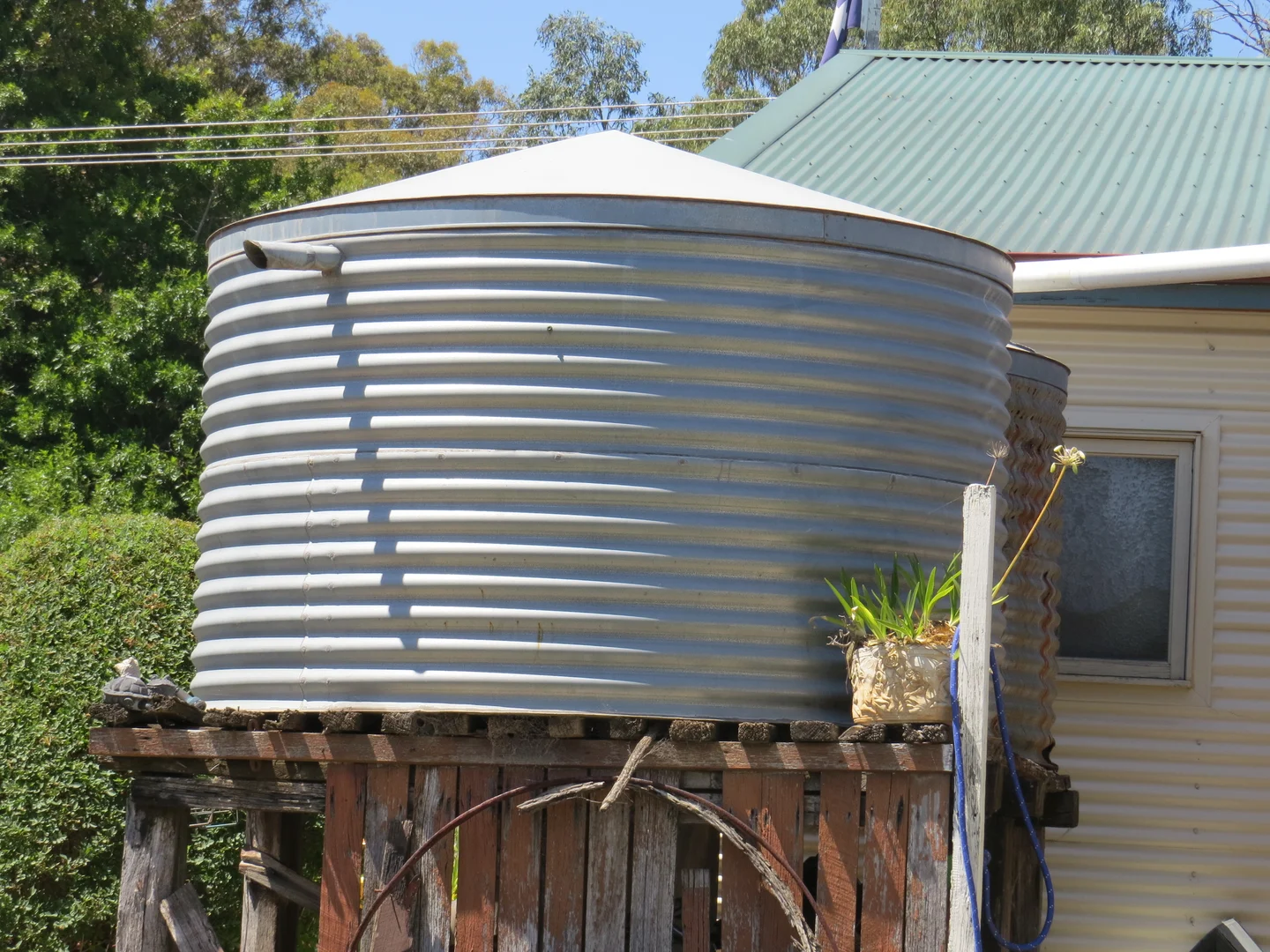 Image 11