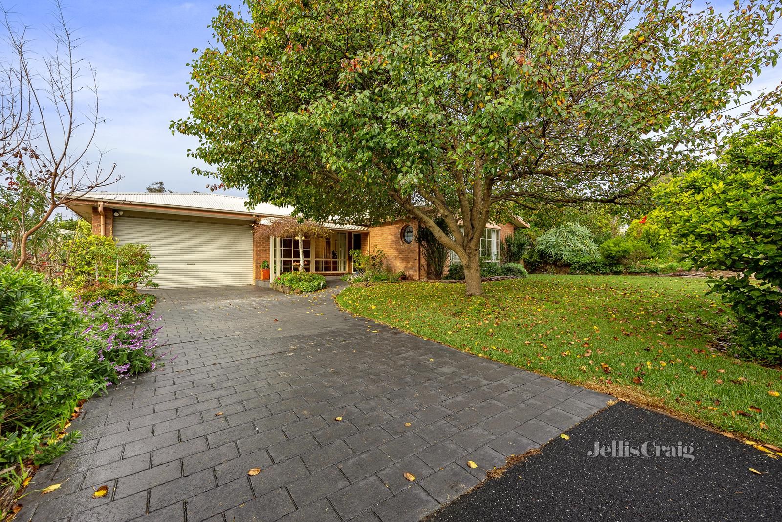 16 Denby Avenue, Sorrento VIC 3943, Image 0