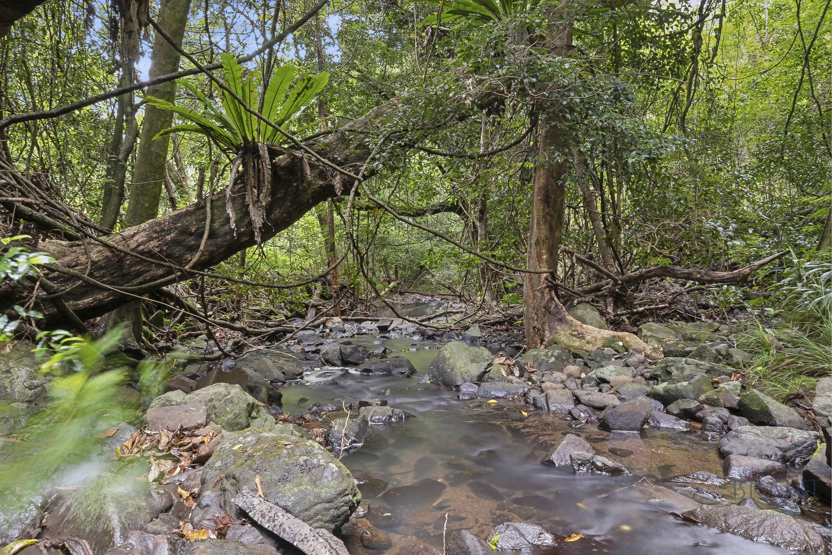 Image 14