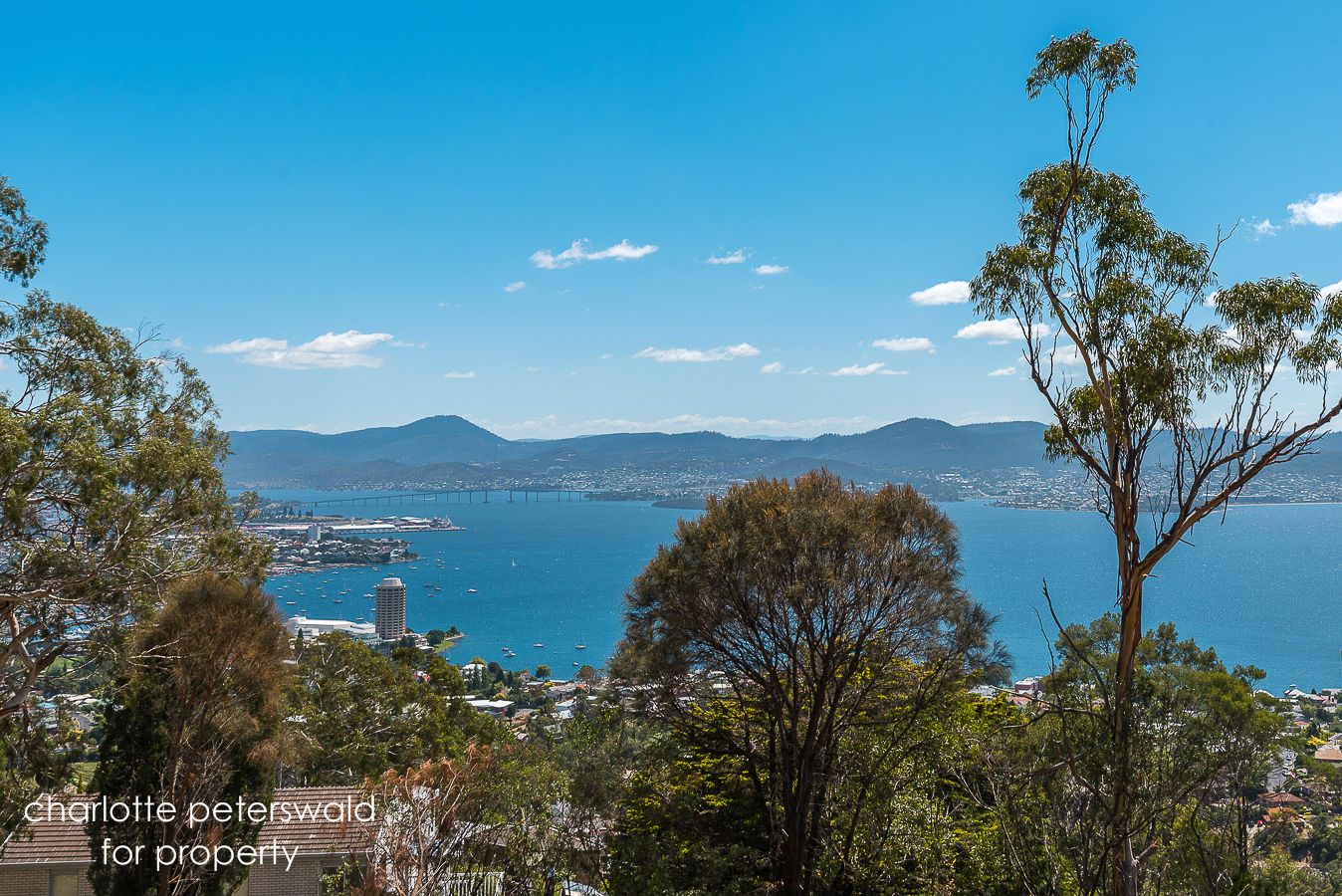 Lot 1/21 Enterprise Road, Sandy Bay TAS 7005, Image 1