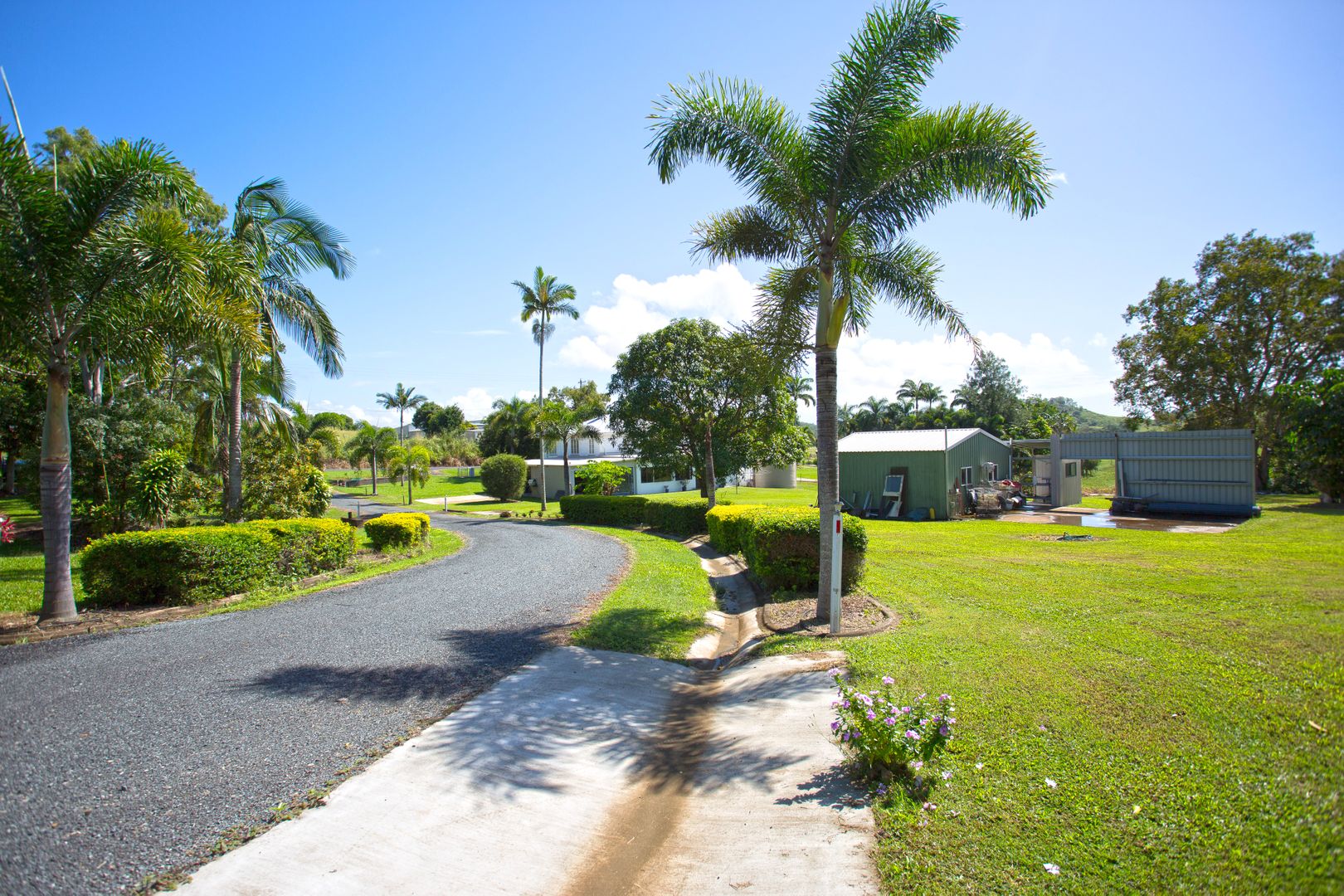 642 FarleighHabana Road, Farleigh QLD 4741 House For Sale Domain