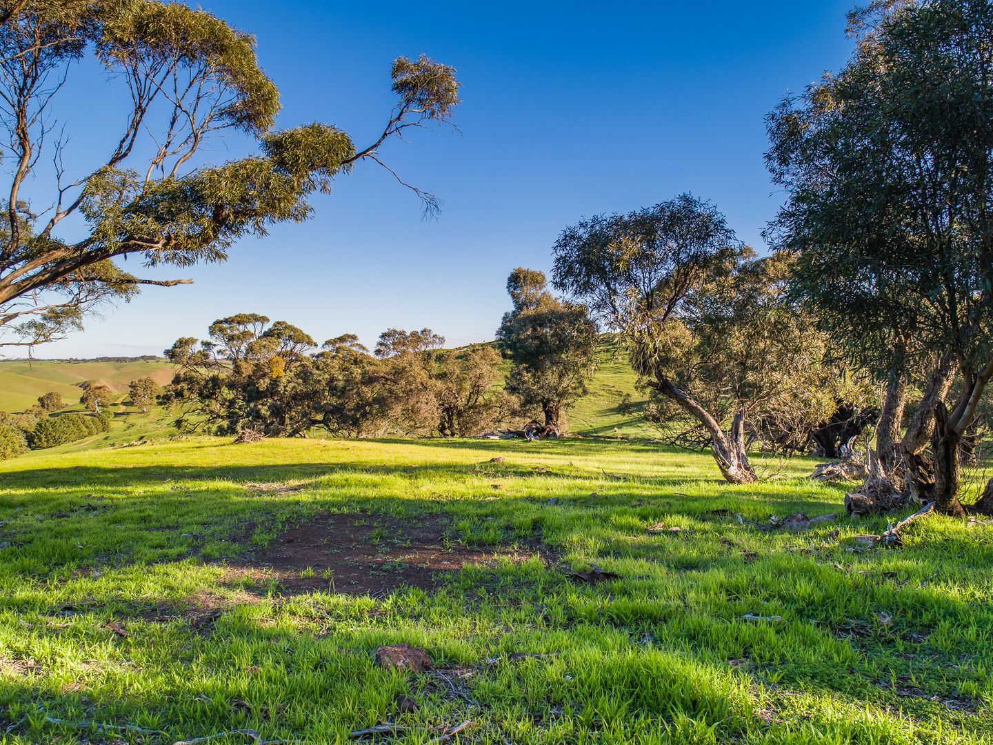 Lot 103 Back Callington Road, Mount Barker Springs SA 5251, Image 1