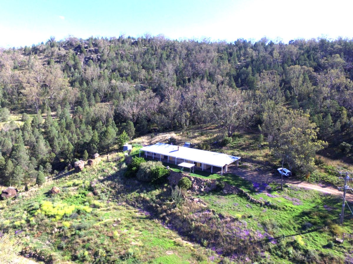 345 Wallabadah Road, Wallabadah NSW 2343, Image 0