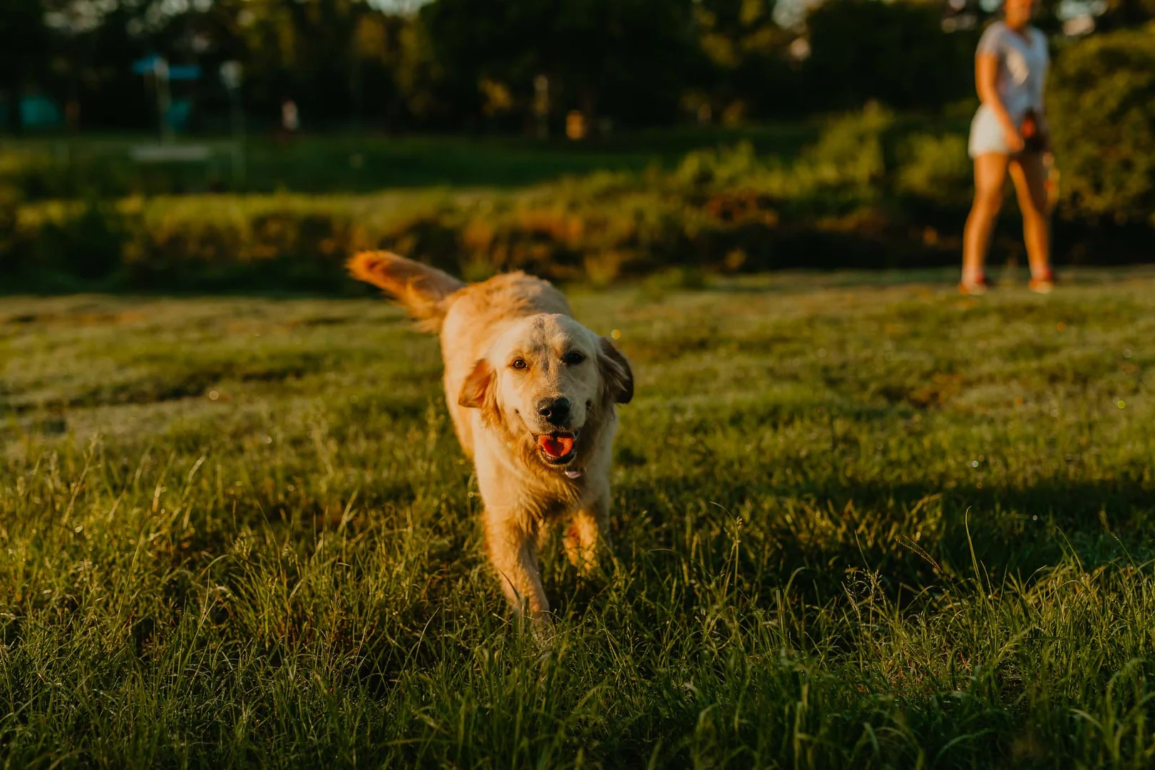 Additional image 9 of 33/1 Chambers Lane, Alderley QLD 4051