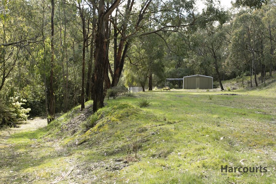 355 Becks Bridge, Tanjil South VIC 3825, Image 1