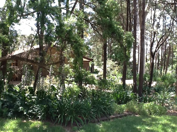 16 Maegraith Place, Lake Wyangan NSW 2680