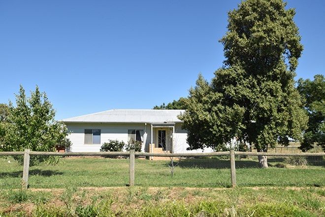 Picture of 990 Poole Road, GIRGARRE EAST VIC 3616