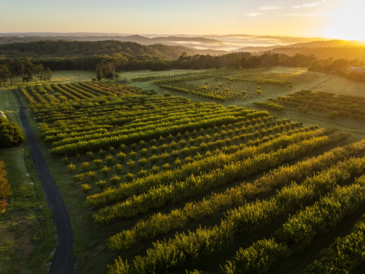 Additional image 6 of 1266 George Downes Drive, Kulnura NSW 2250