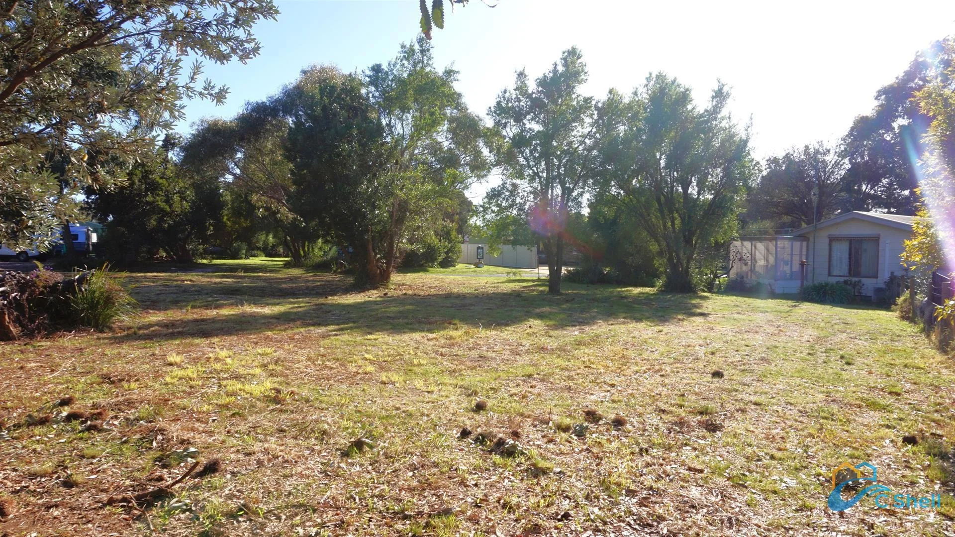 Image 7