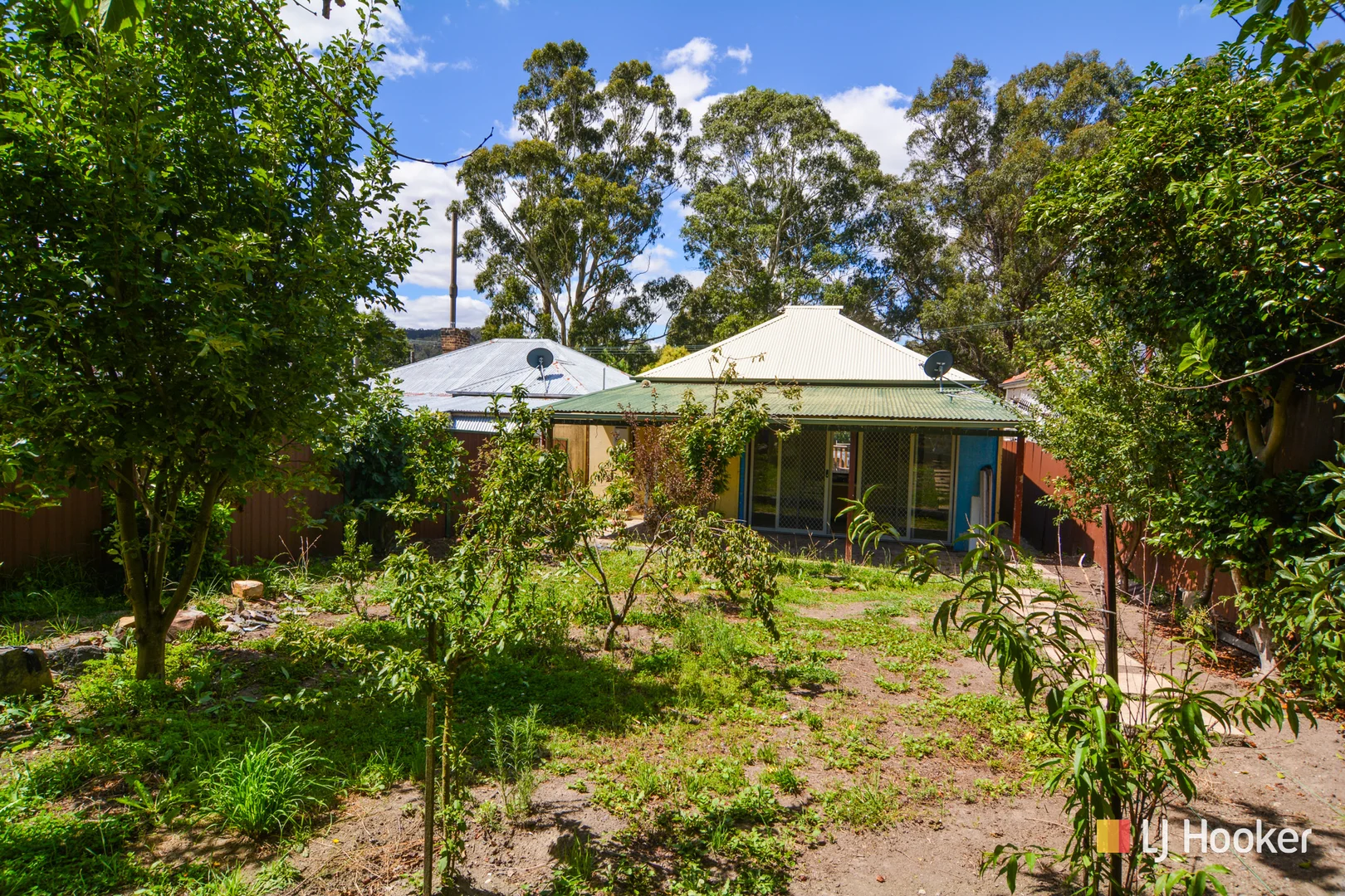 Image 12