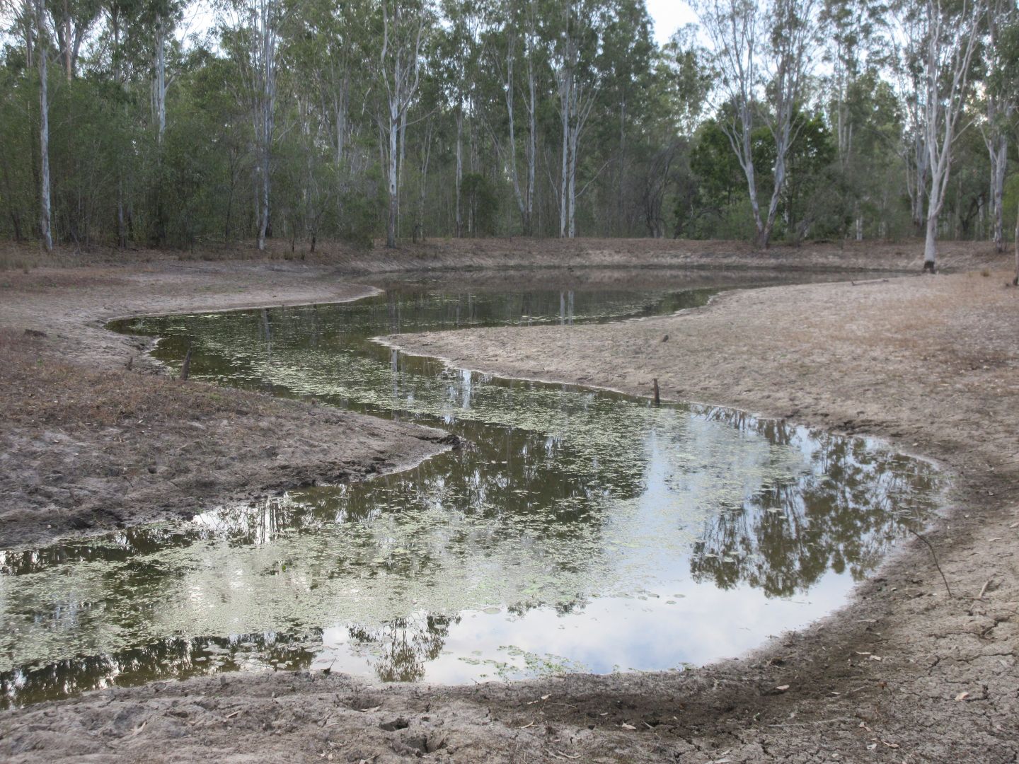 Moolboolaman QLD 4671, Image 1