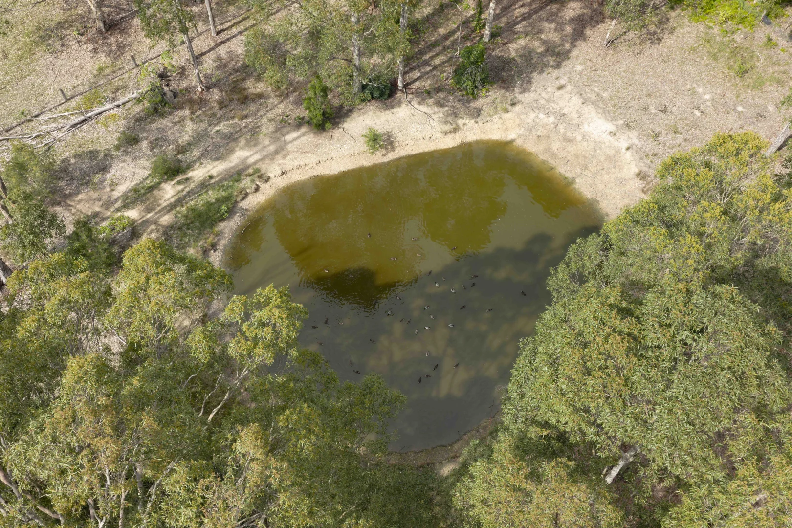 Additional image 43 of 2 Reign Close, Worrigee NSW 2540