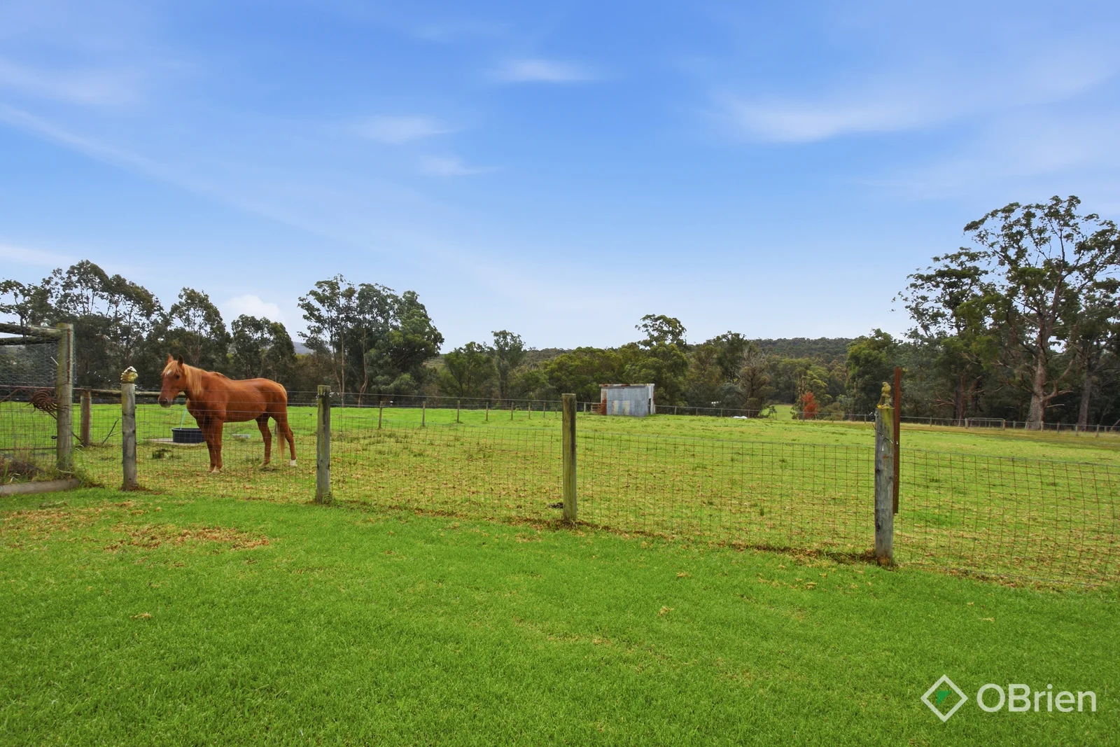 Additional image 11 of 790 Bullumwaal Road, Mount Taylor VIC 3875