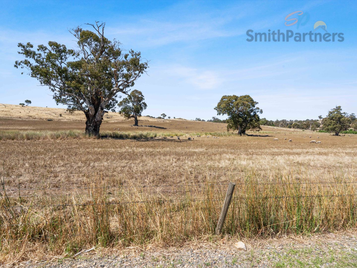 36 Macdonnell Terrace, Springton SA 5235 House For Rent Domain