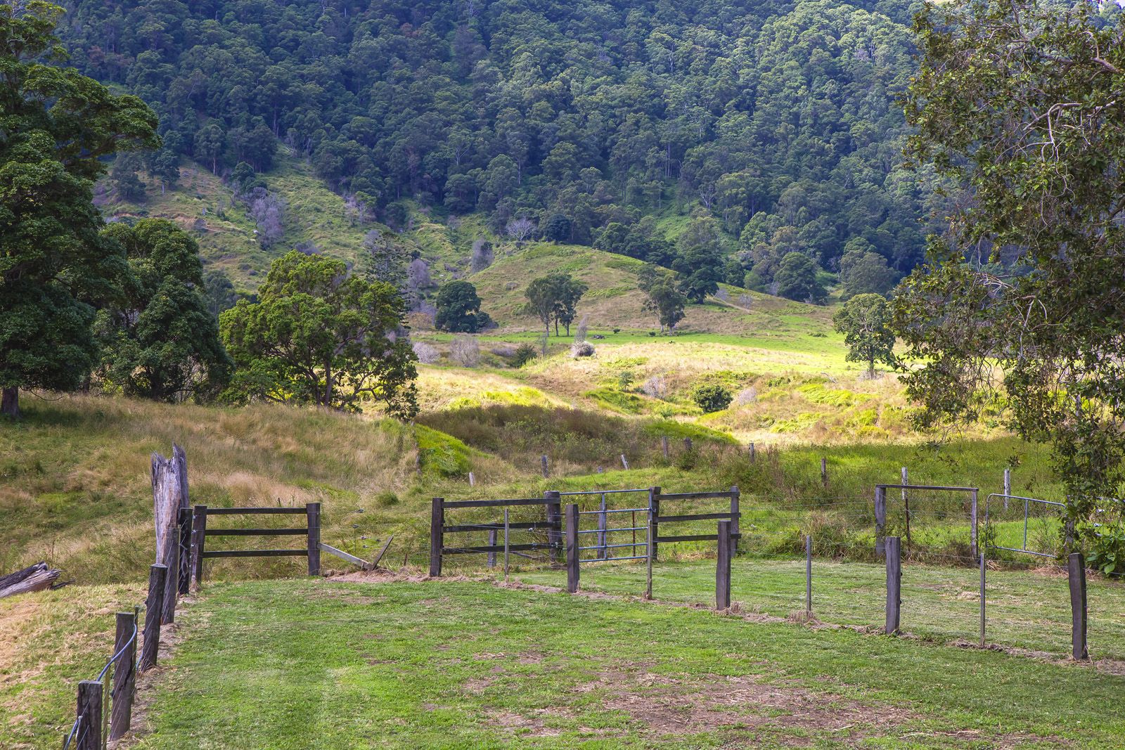 559 Aherns Road, Conondale QLD 4552, Image 0