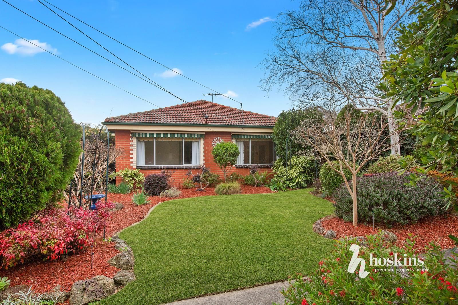 36 Argyle Street, Donvale VIC 3111, Image 1