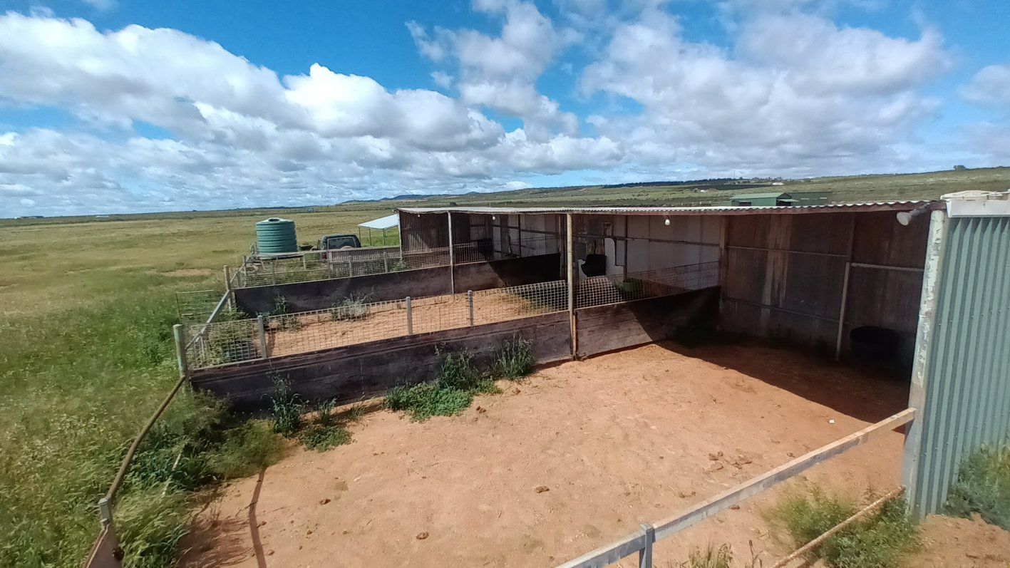 439 Pearce Road, Quorn SA 5433 Domain