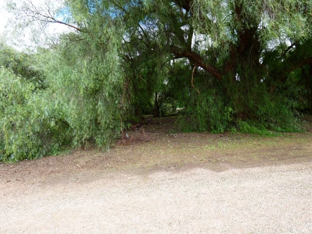 Additional image 6 of 41 Deakin St, Beulah VIC 3395