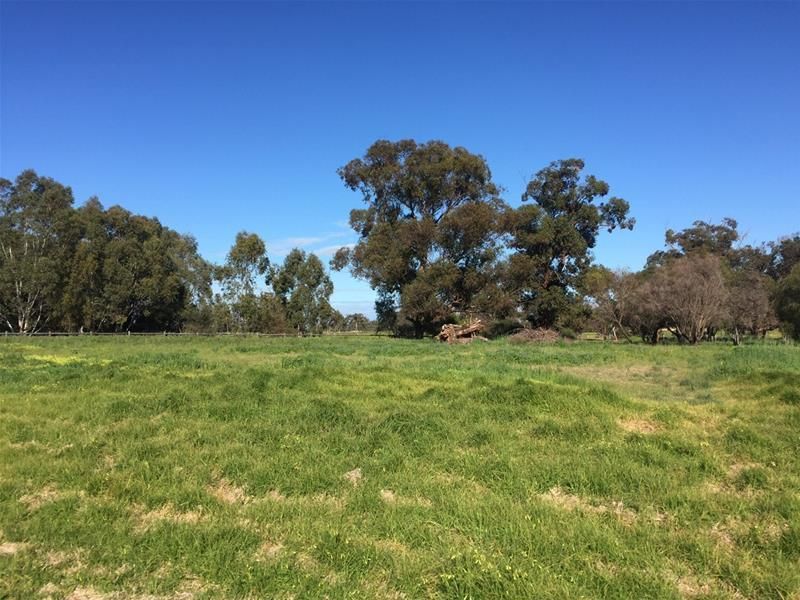 Lot 161 James Eden Drive, West Pinjarra WA 6208, Image 0