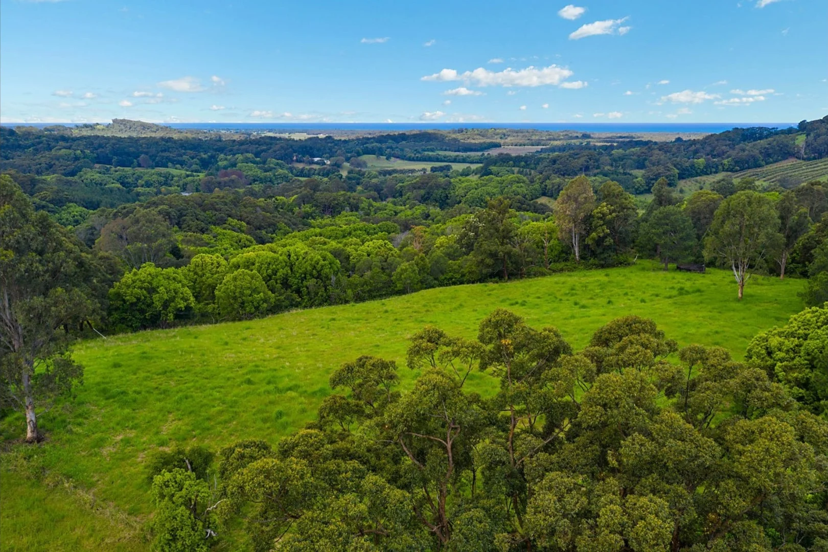 Additional image 20 of 99 Yelgun Road, Yelgun NSW 2483