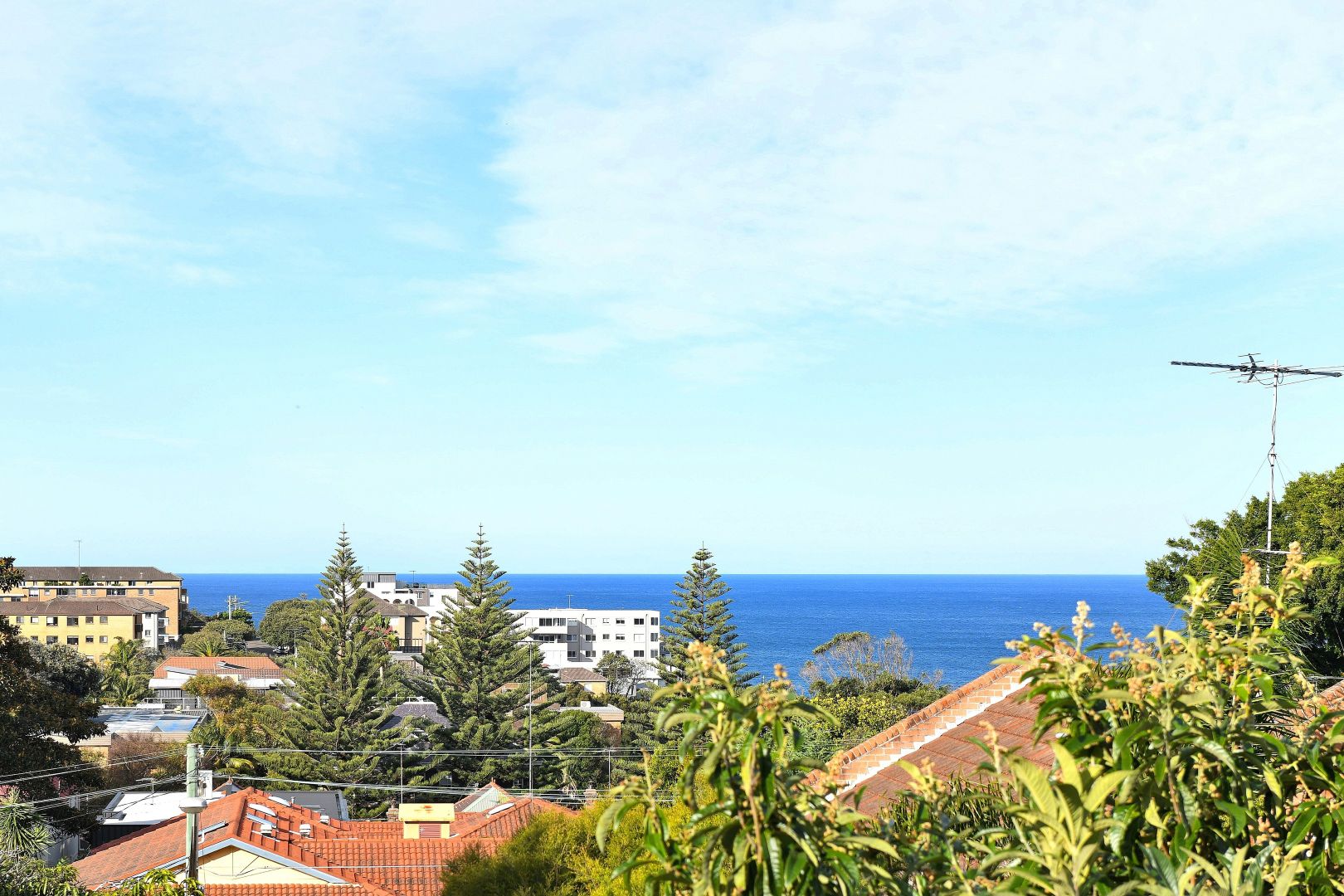35 Division Street, Coogee NSW 2034, Image 2