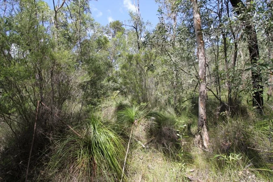 Additional image 27 of 960 Pacific Drive, Deepwater QLD 4674