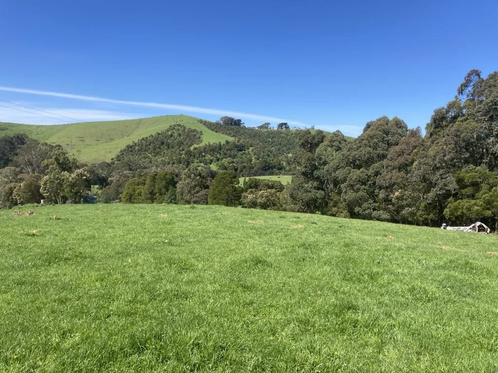 Image 10