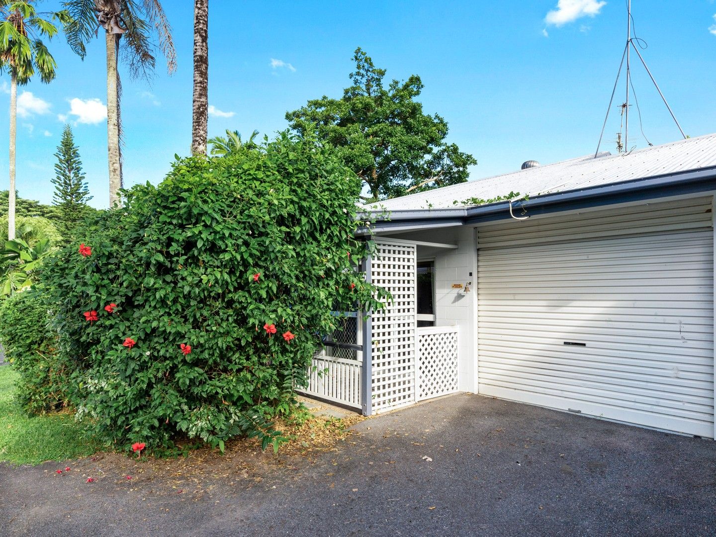 2 bedrooms Apartment / Unit / Flat in 5/10 Ireland Crescent WHITFIELD QLD, 4870