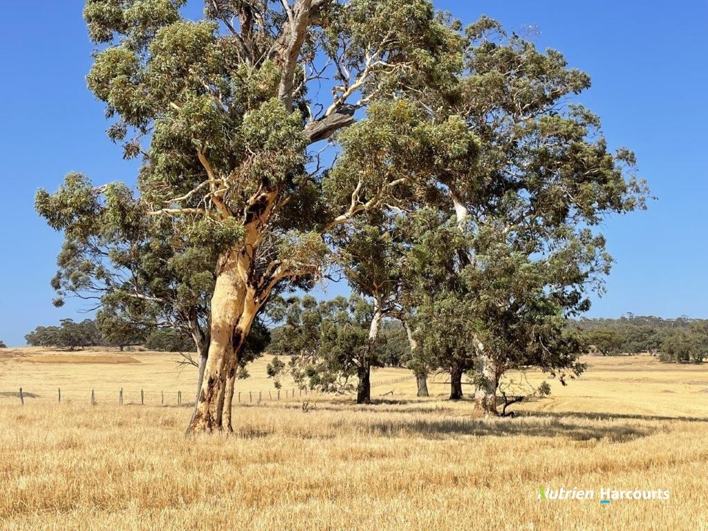 . Ramsay Road, Brookton WA 6306, Image 2