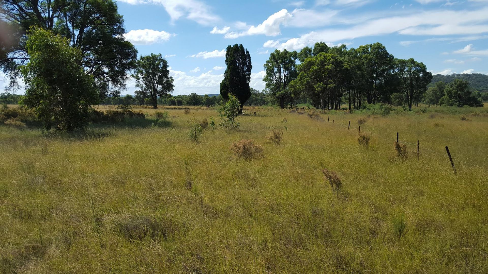 1803 Blue Springs Rd, Bungaba NSW 2852 House for Sale Domain