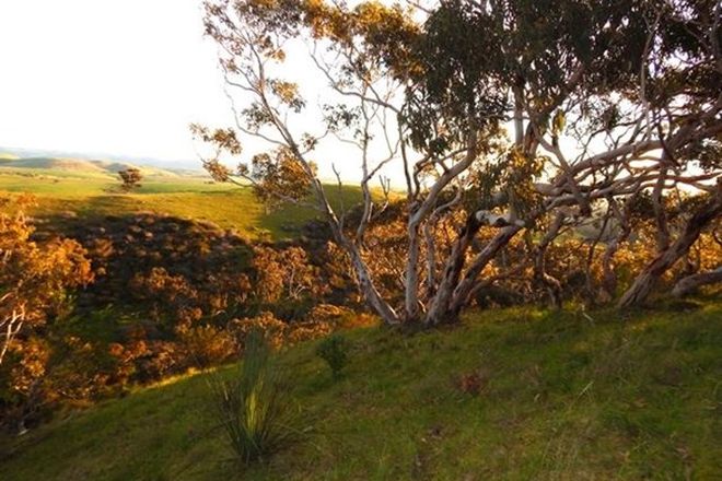 Picture of Lot 2 Stockwell Rd, YANKALILLA SA 5203