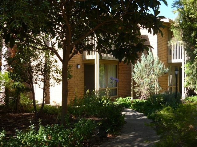 9/74 Ward Street, North Adelaide SA 5006, Image 0