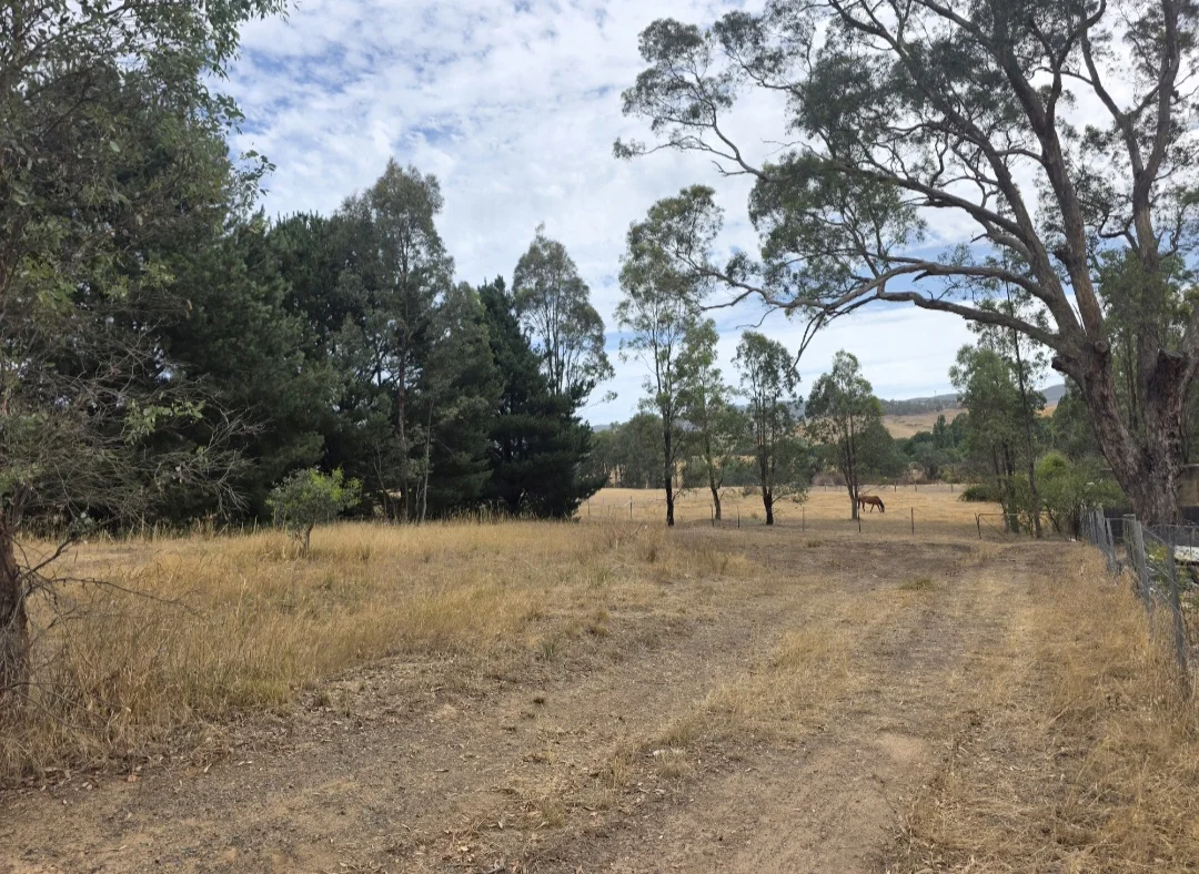 Image 13