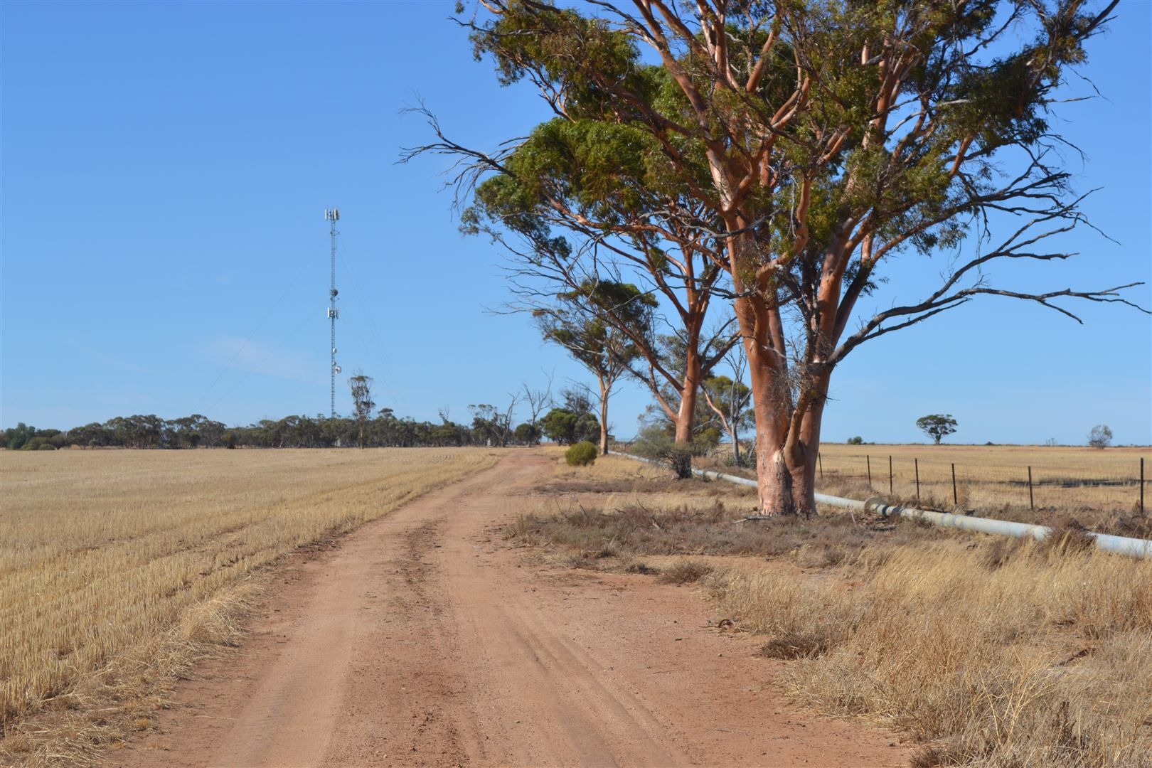 . 'Brie-Brie', Koorda WA 6475, Image 2