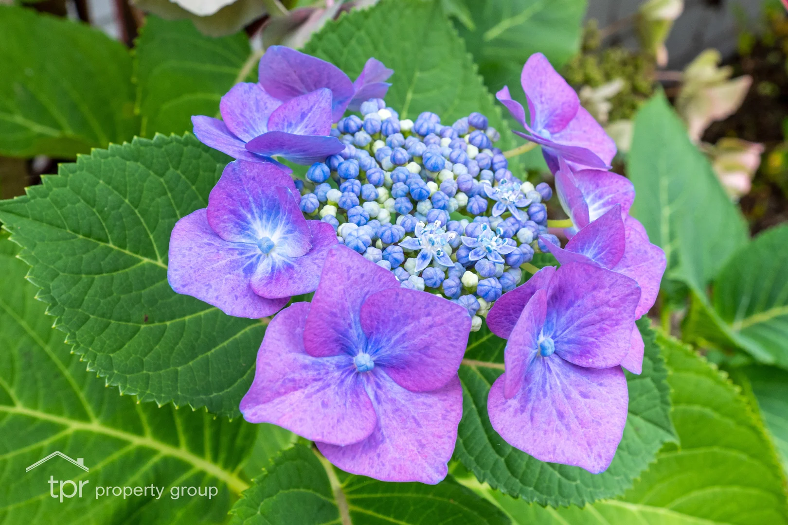 Additional image 28 of 27 Scenic Hill Road, Huonville TAS 7109