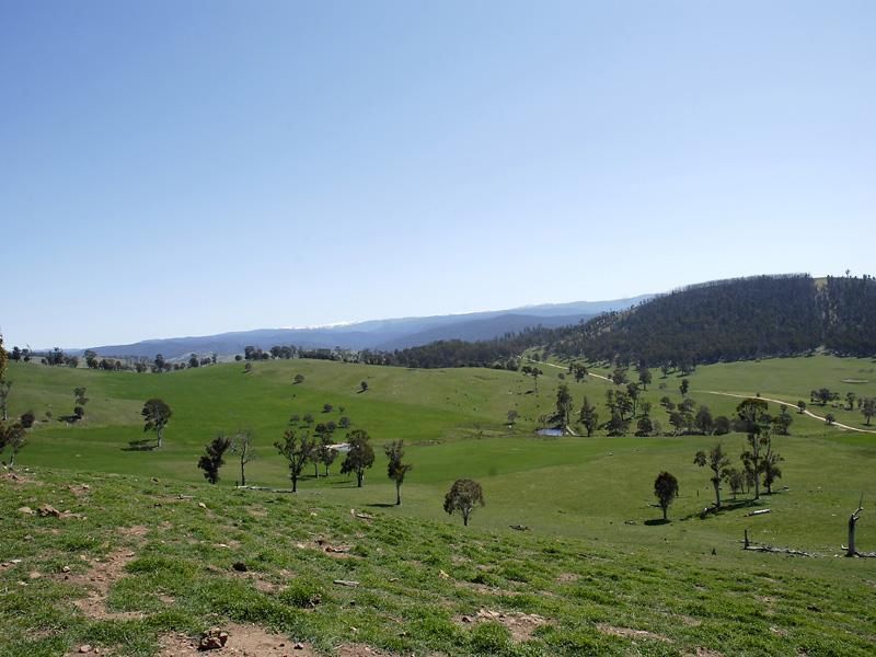 Lot 3/227 High Forest Road, Mt Maid, OMEO VIC 3898, Image 2