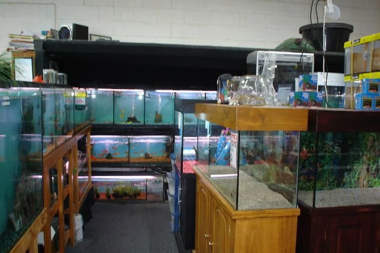 Esperance pet shop discount