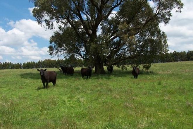 Picture of 1018 Bannister Lane, BANNISTER NSW 2580