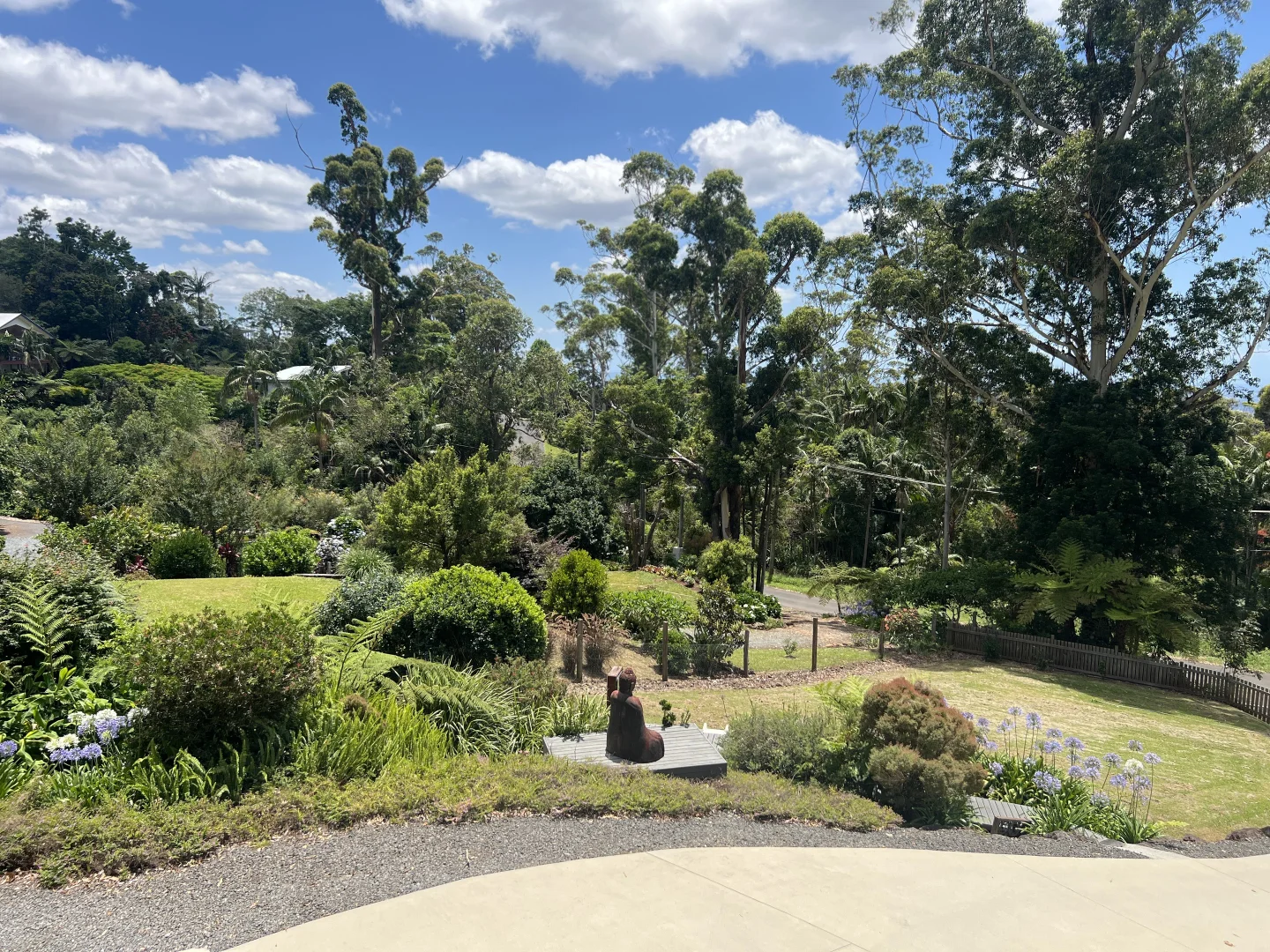 Image 14