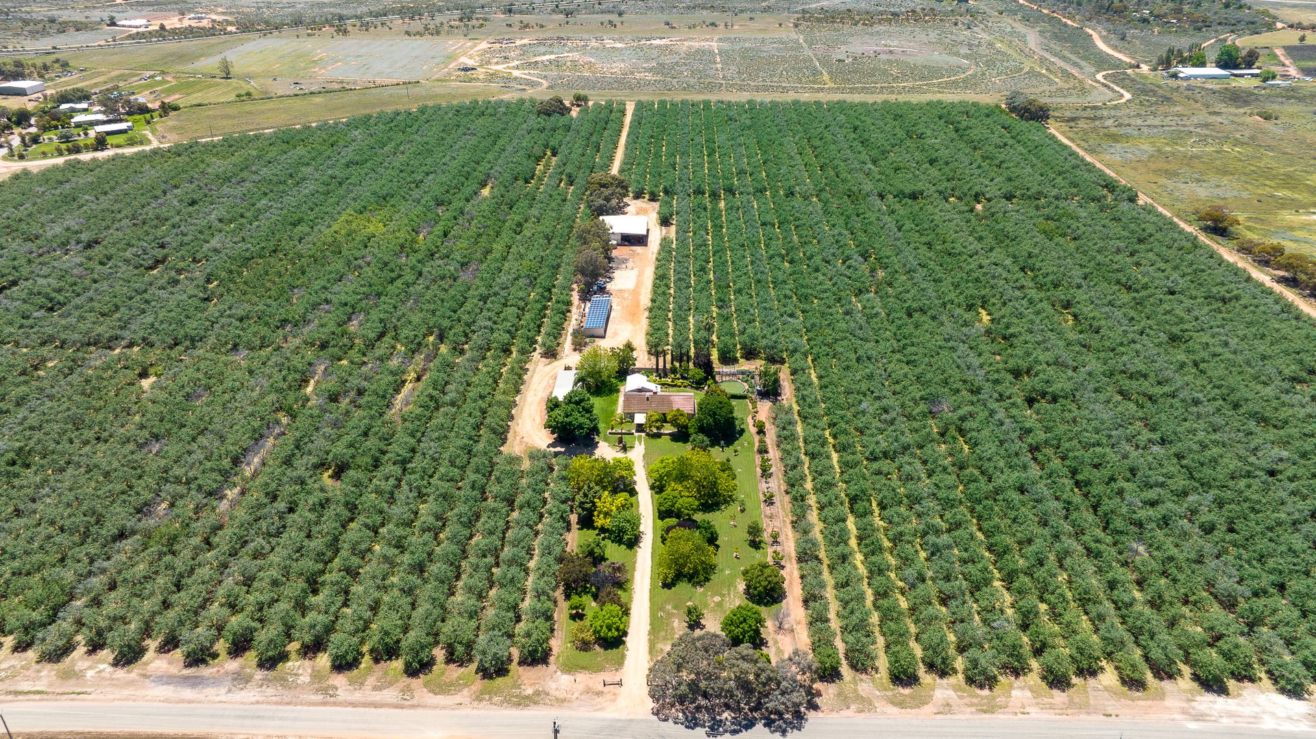 27 Swan Street, Renmark SA 5341 - Specialist Farm for Sale - $2,900,000