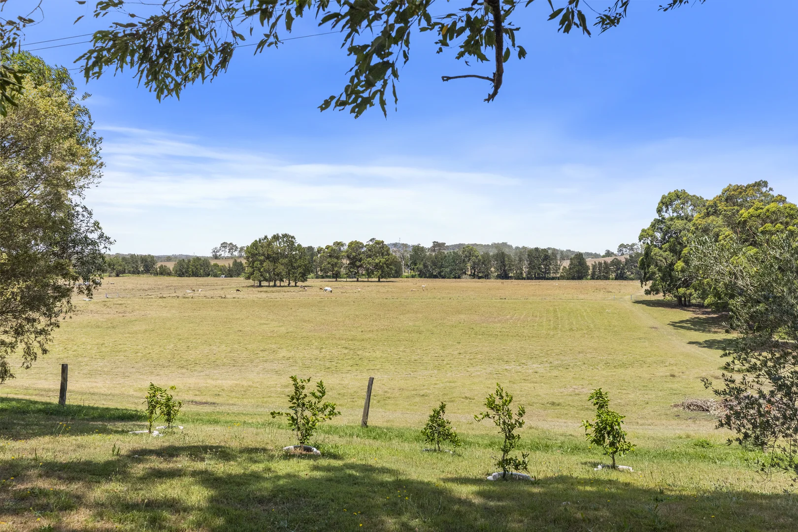 Additional image 34 of 951 Maitland Vale Road, Rosebrook NSW 2320