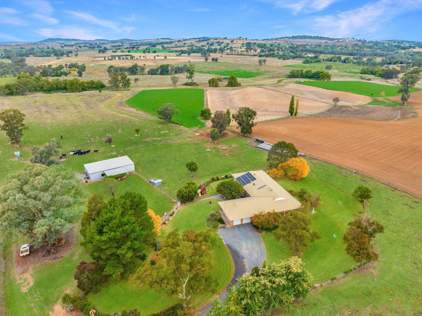 154 Elouera Road, Cowra NSW 2794, Image 0