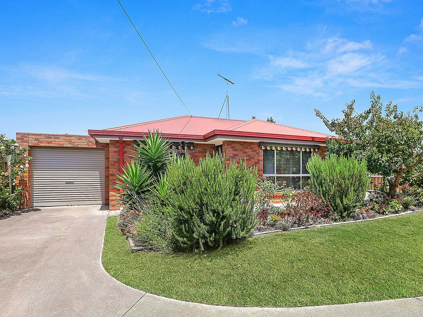 2/14 Oxford Street, Whittington VIC 3219, Image 0