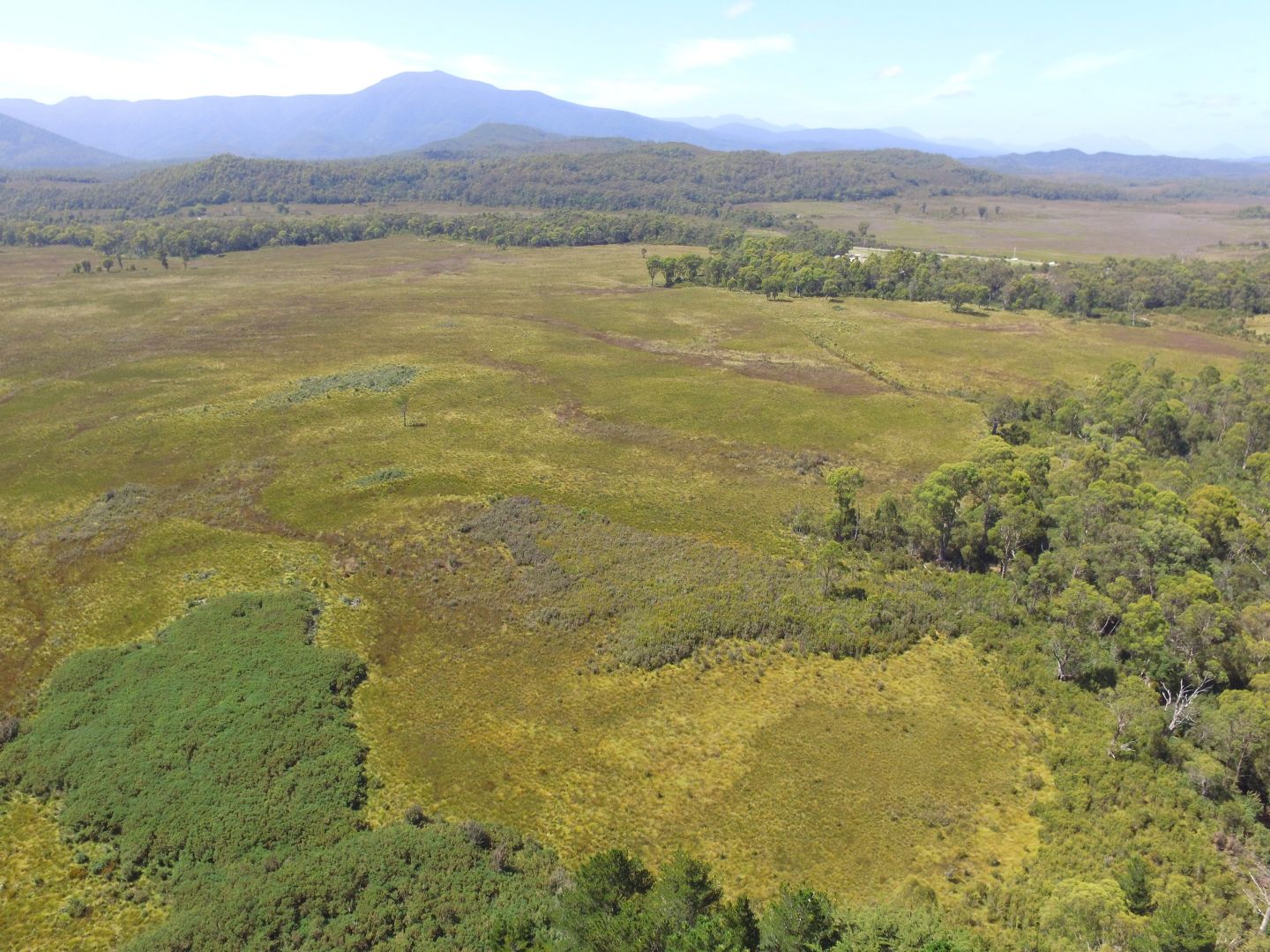 Zeehan TAS 7469 Vacant Land for Sale Domain