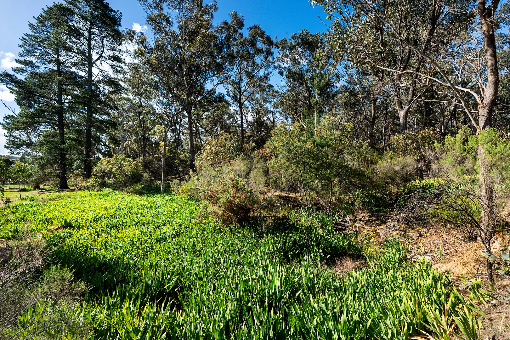 Image 13