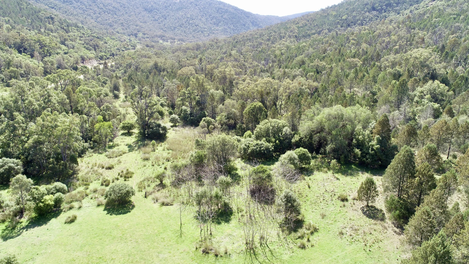 Image 14