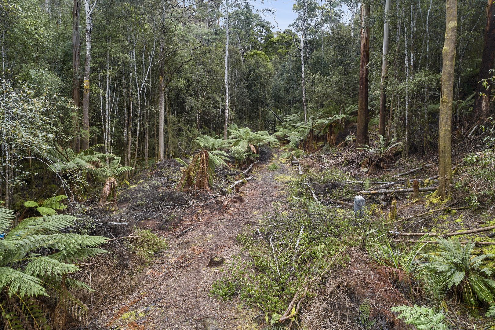 111 Underwoods Road, Nicholls Rivulet TAS 7112 Domain