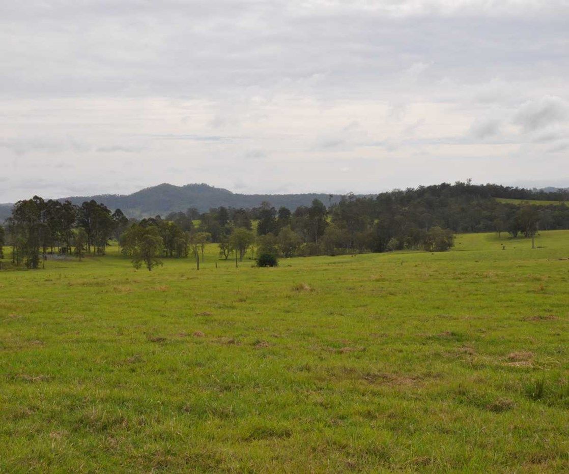 2 Iron Pot Creek Road, Iron Pot Creek NSW 2474, Image 0